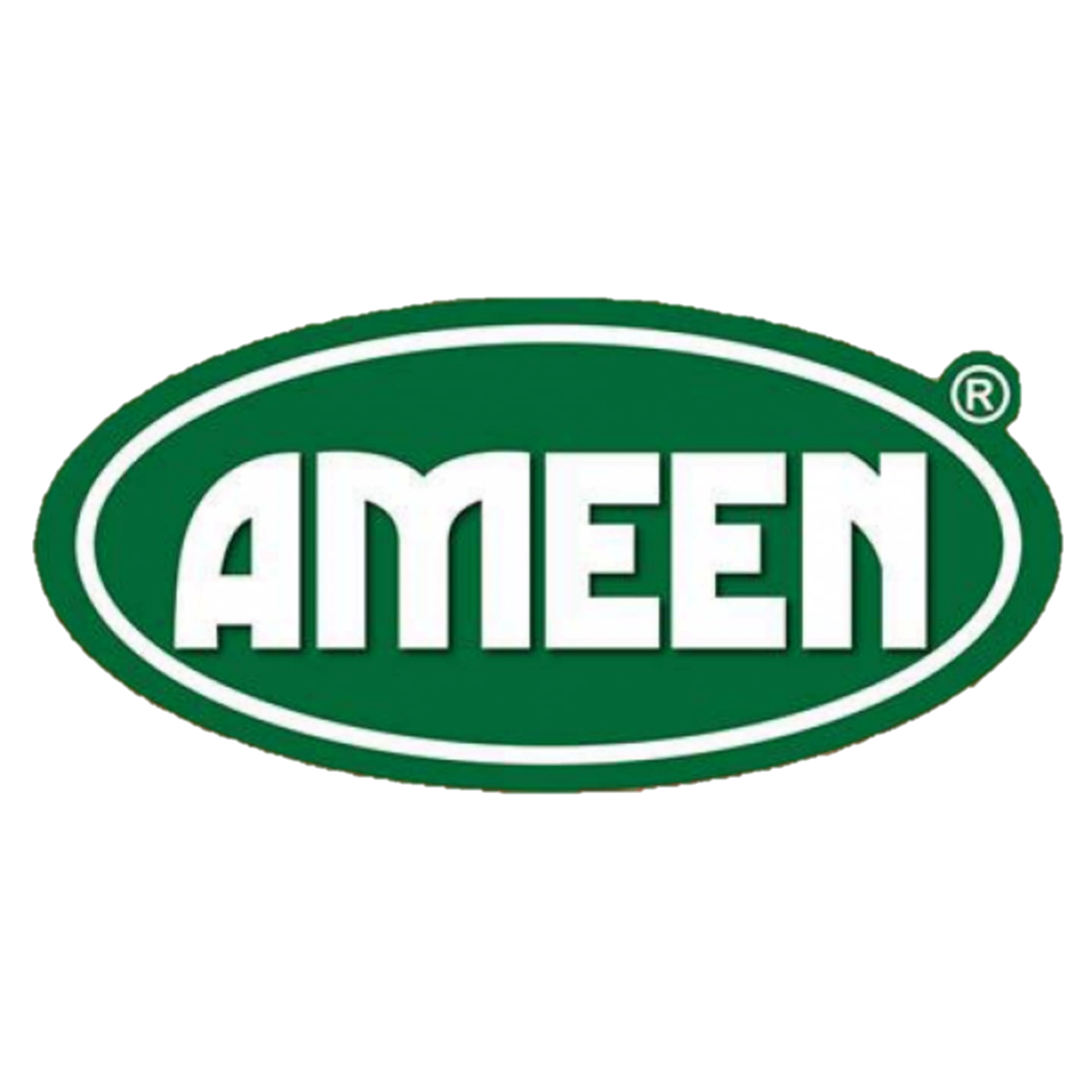 ALEEM Logo